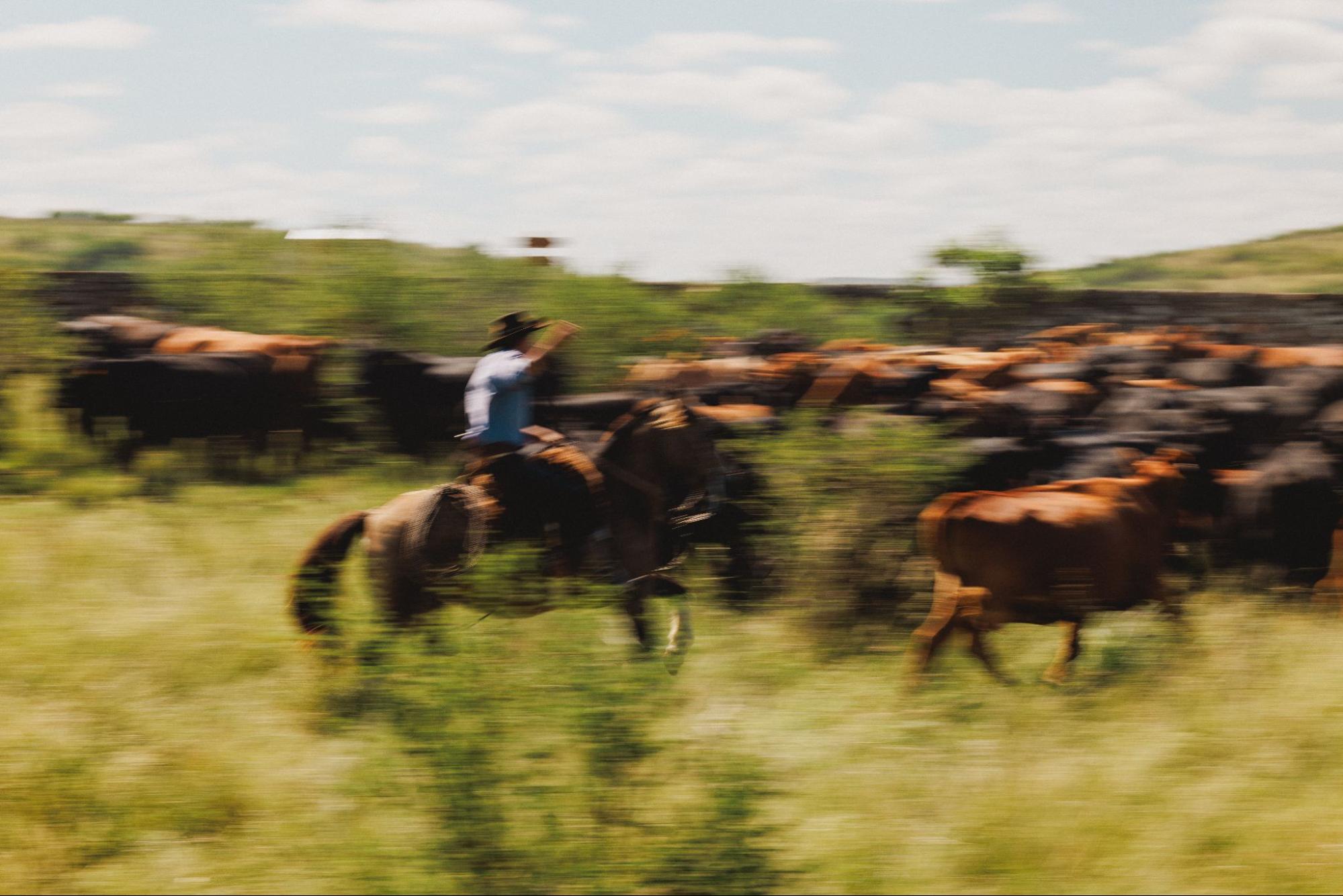 Cavalgada Pampa